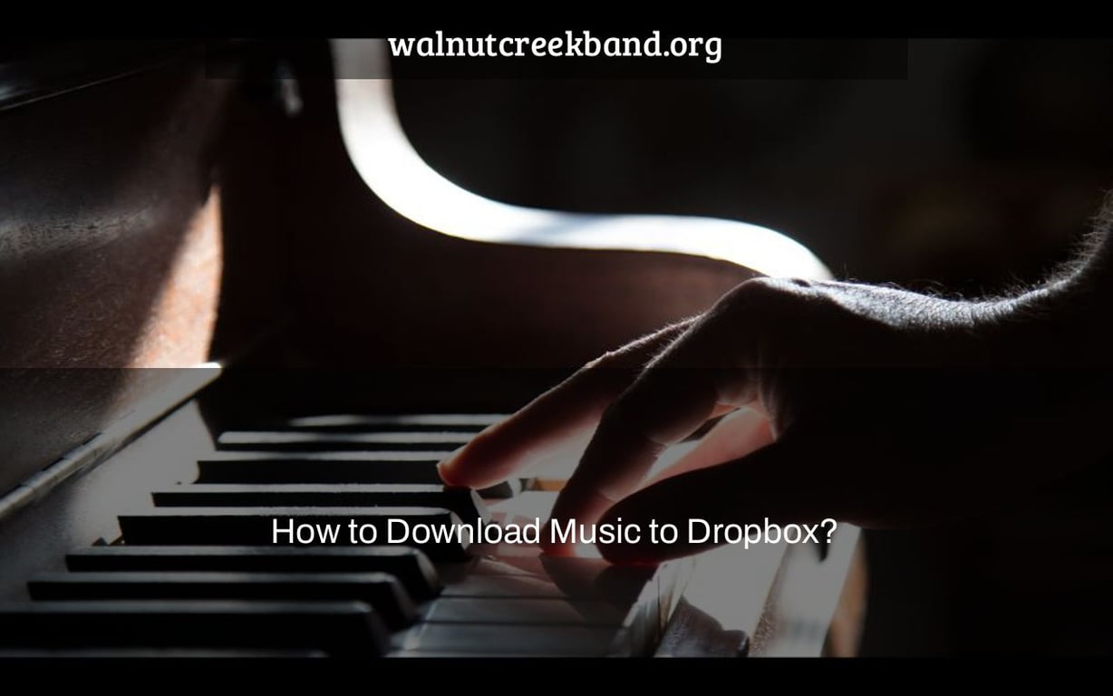 How to Download Music to Dropbox?