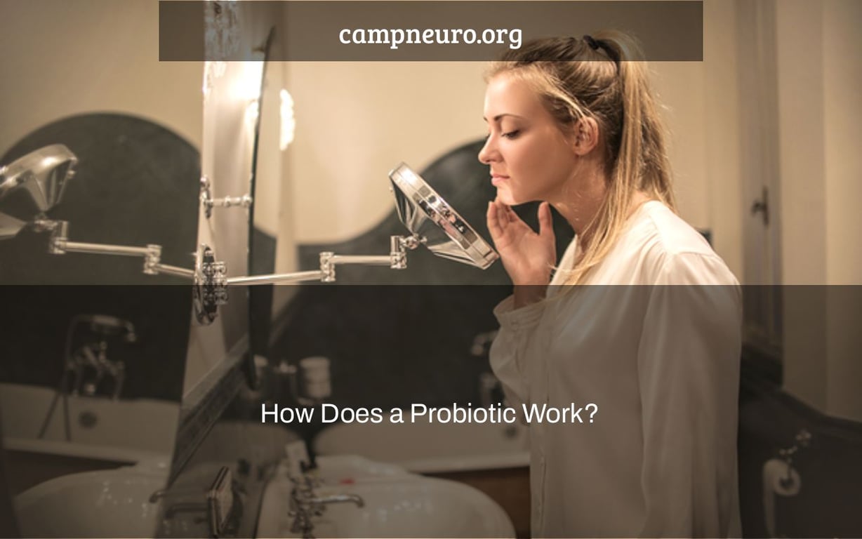 How Does a Probiotic Work? Camp Neuro