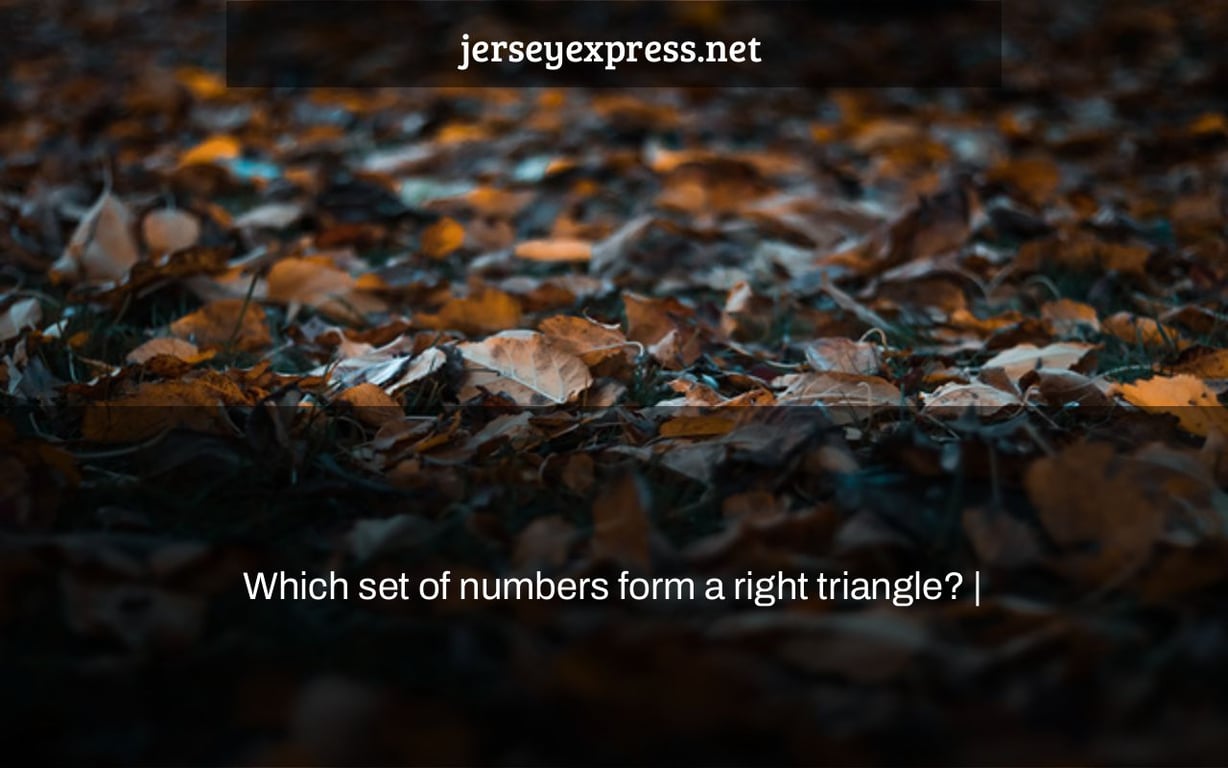 Which set of numbers form a right triangle? |