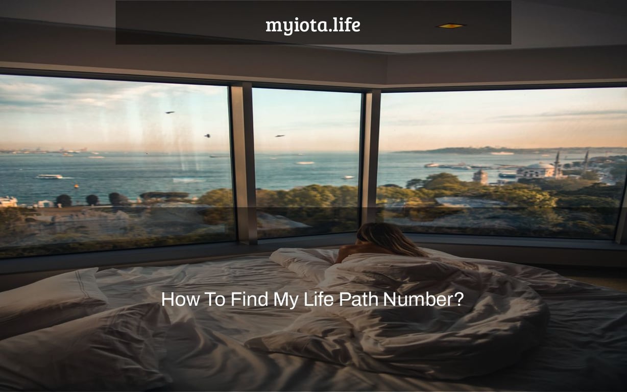 How To Find My Life Path Number? myiota.life