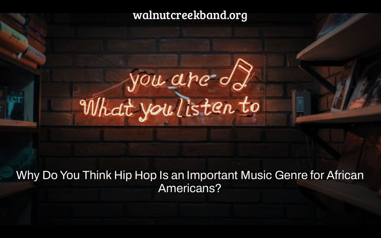 Why Do You Think Hip Hop Is an Important Music Genre for African Americans?