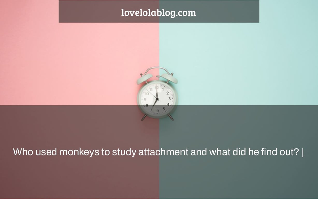 Who used monkeys to study attachment and what did he find out? |