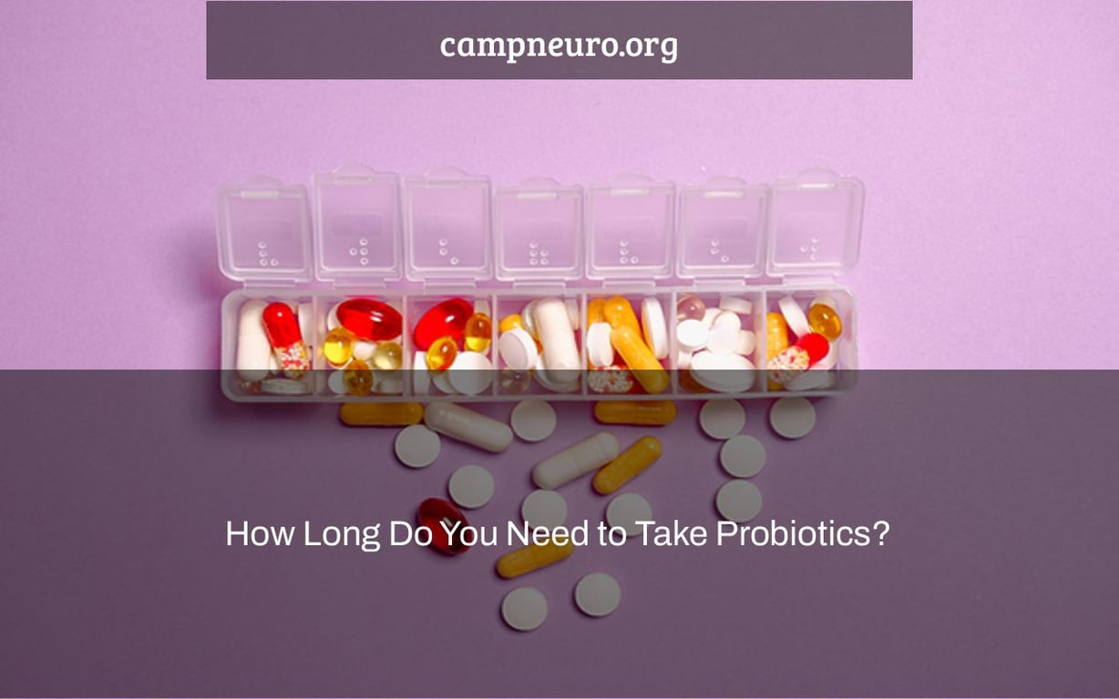 How Long Do You Need to Take Probiotics? Camp Neuro