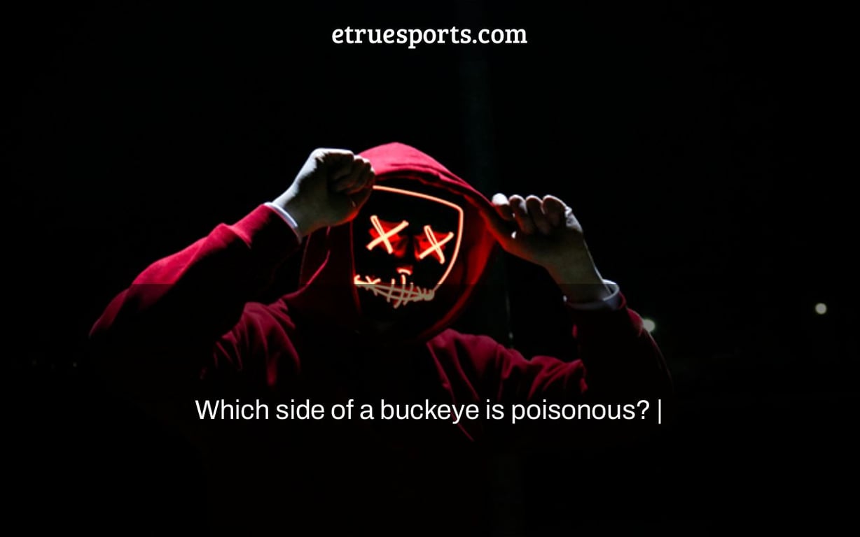 Which side of a buckeye is poisonous? |