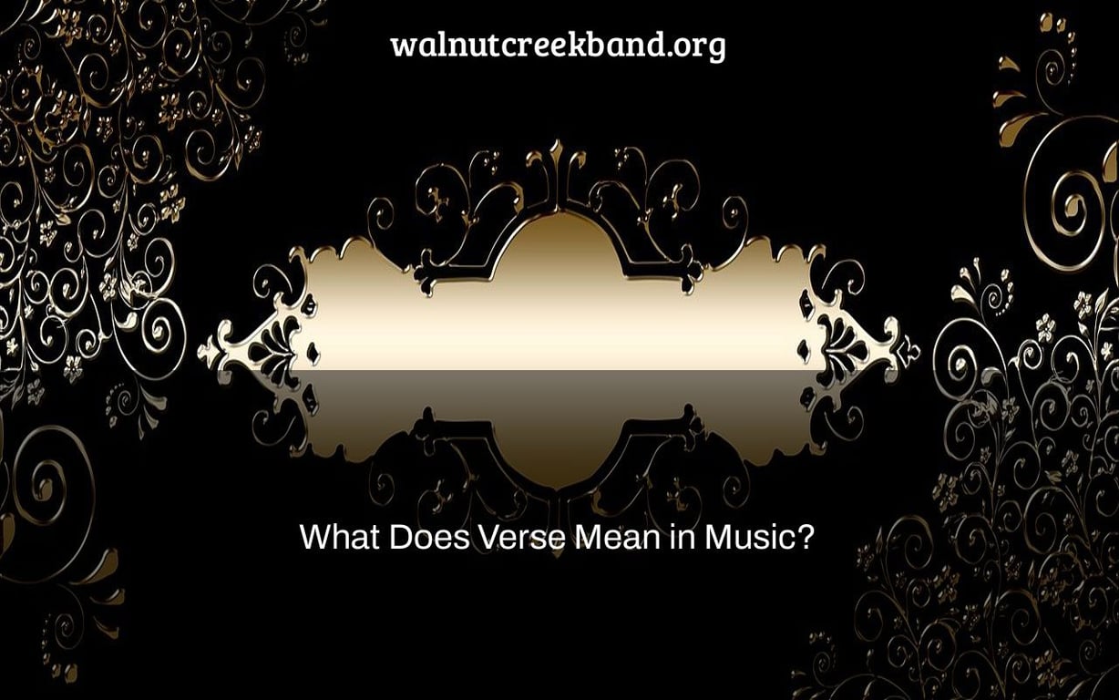 What Does Verse Mean in Music?