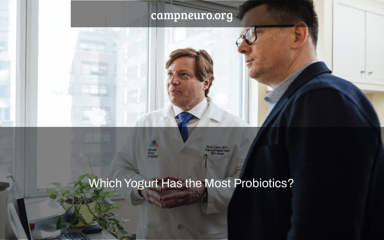 Which Yogurt Has the Most Probiotics? Camp Neuro