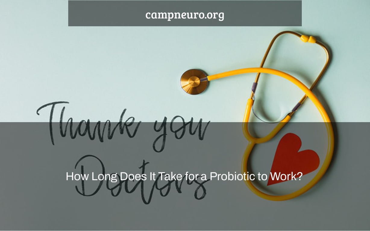 How Long Does It Take for a Probiotic to Work?