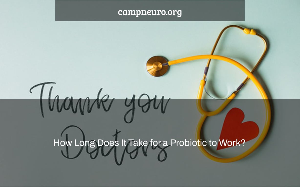 How Long Does It Take for a Probiotic to Work? Camp Neuro