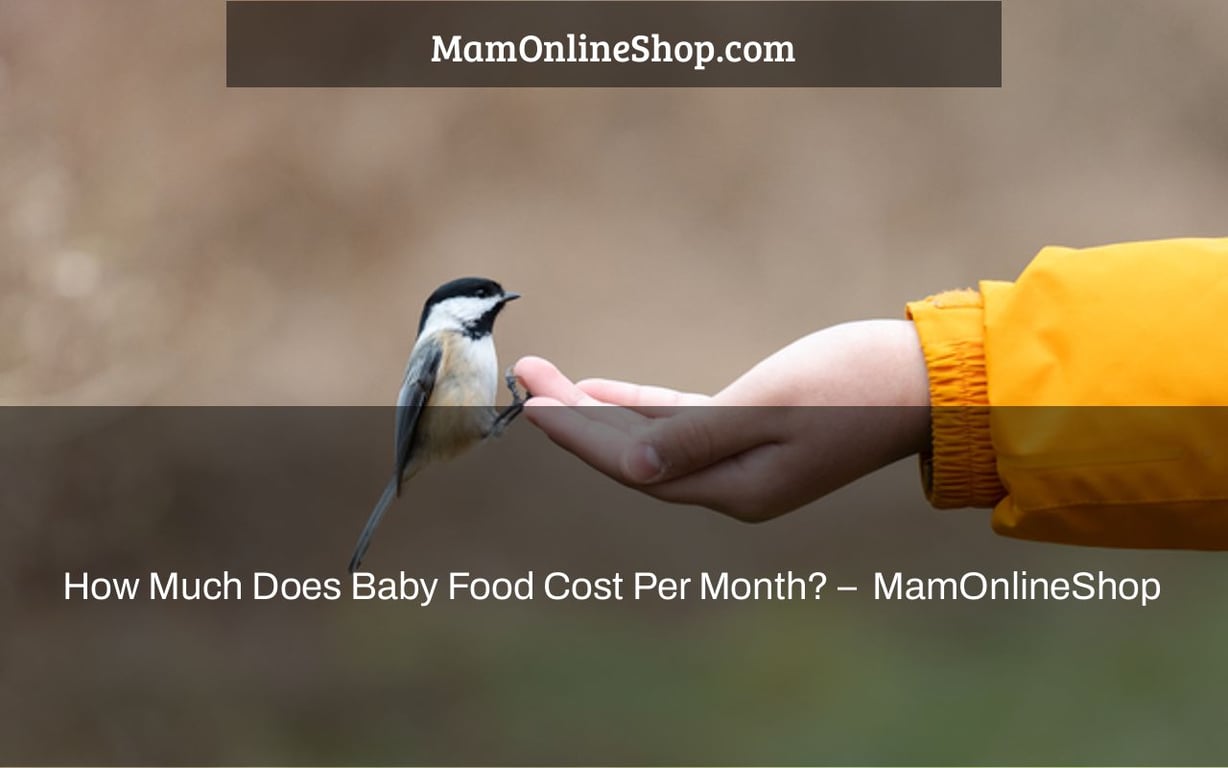 How Much Does Baby Food Cost Per Month? –  MamOnlineShop