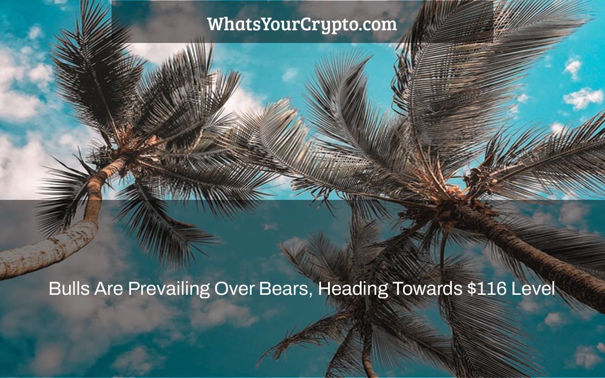 Bulls Are Prevailing Over Bears, Heading Towards $116 Level
