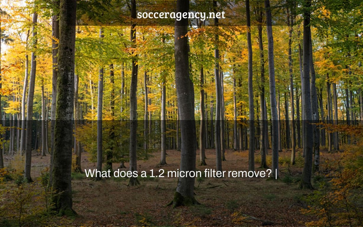 What does a 1.2 micron filter remove? |