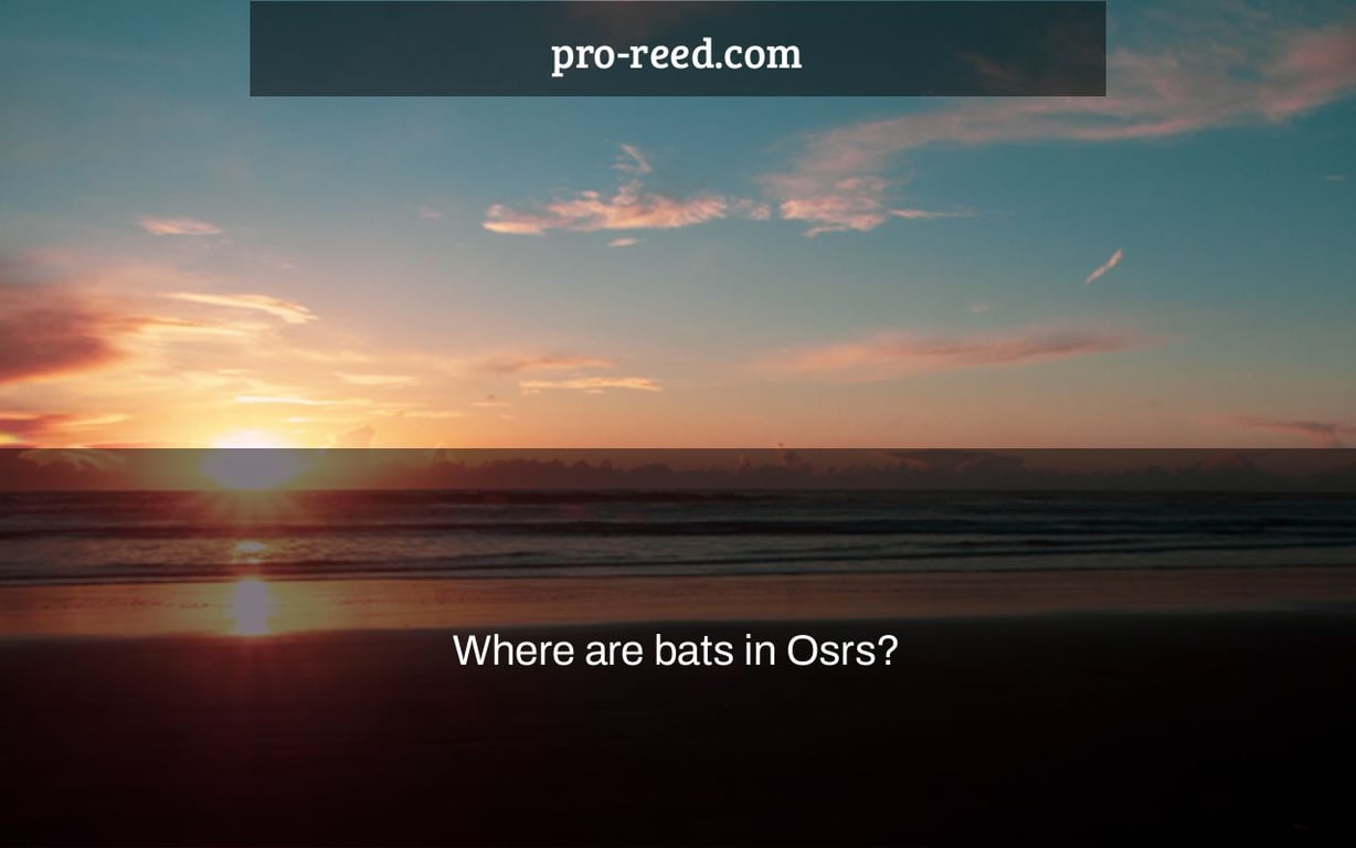 Where are bats in Osrs?