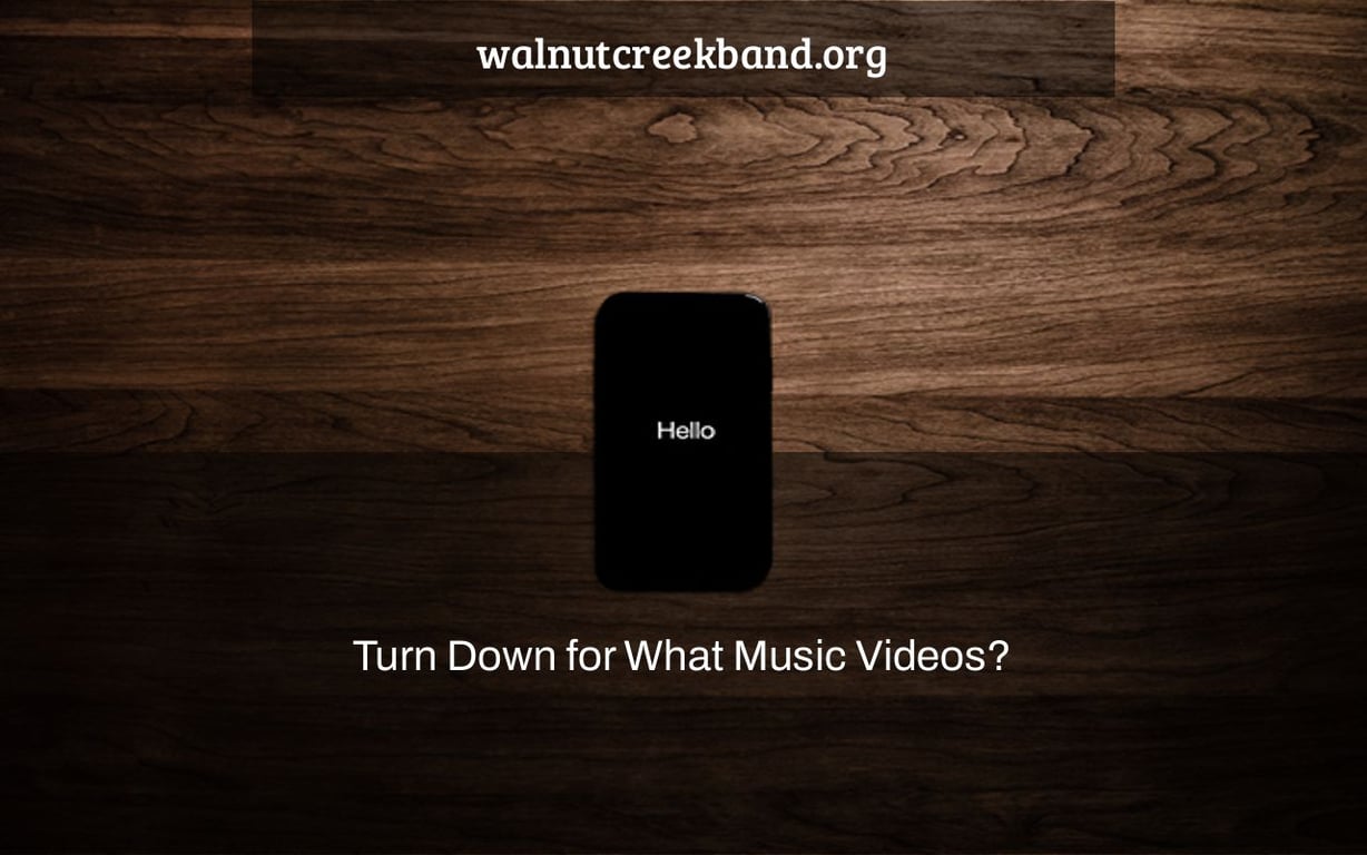 Turn Down for What Music Videos?