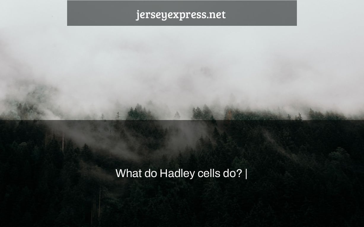 What do Hadley cells do? |