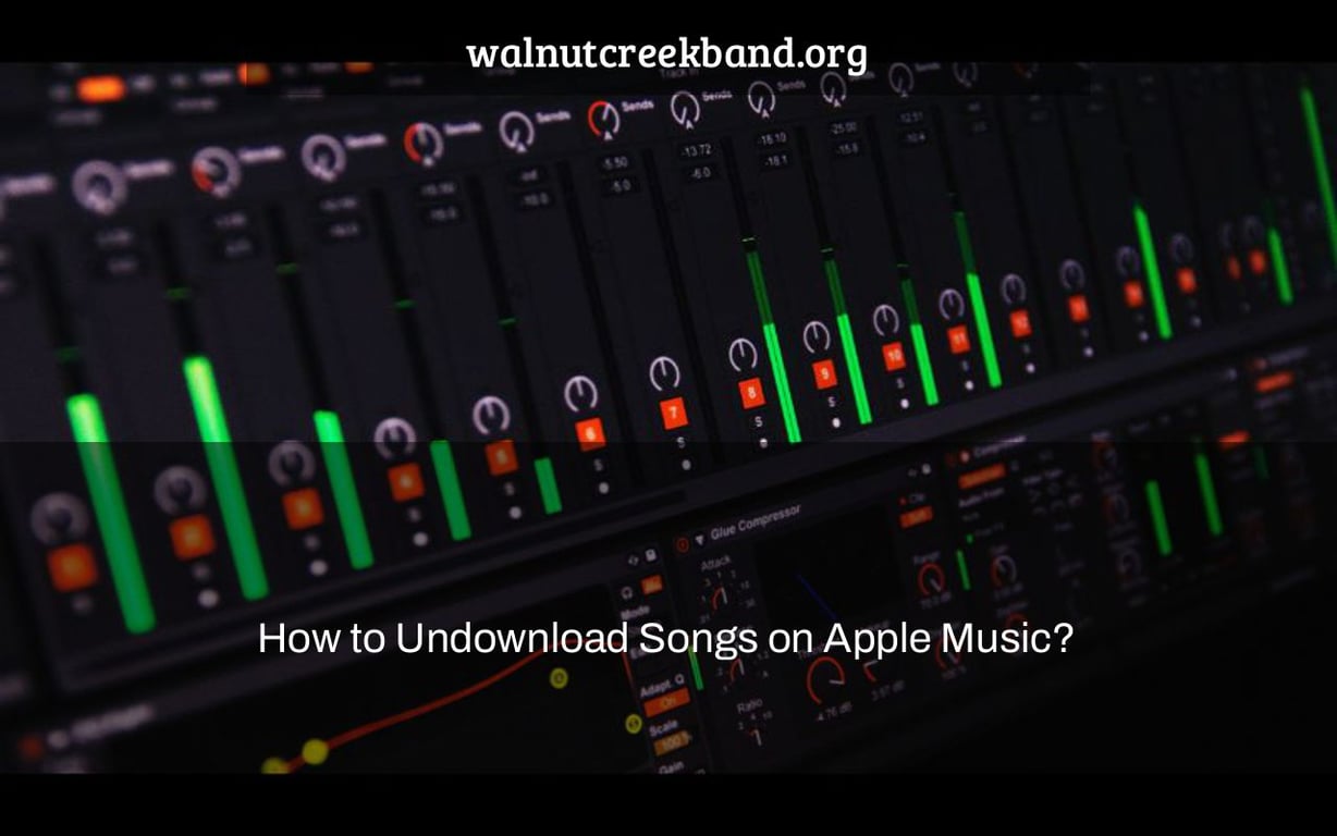 How to Undownload Songs on Apple Music?
