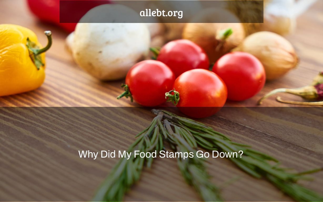 Why Did My Food Stamps Go Down?