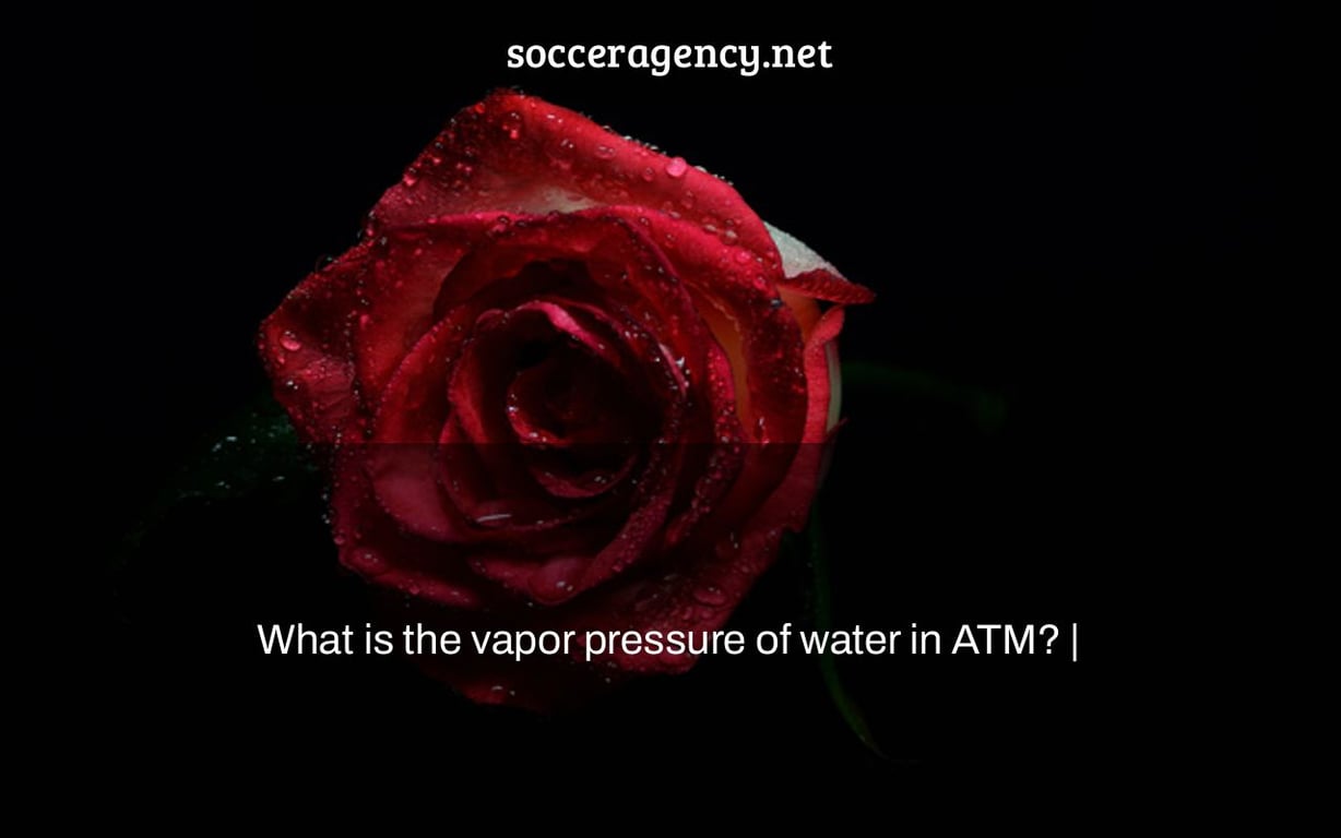 What is the vapor pressure of water in ATM? |