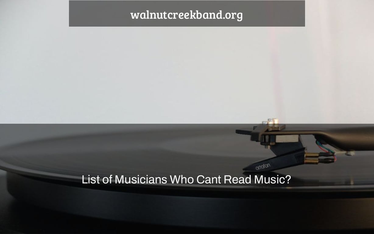 List of Musicians Who Cant Read Music?