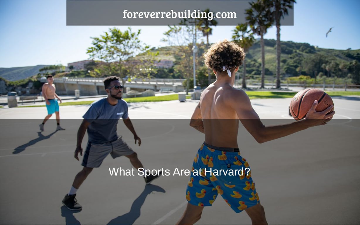 What Sports Are at Harvard?