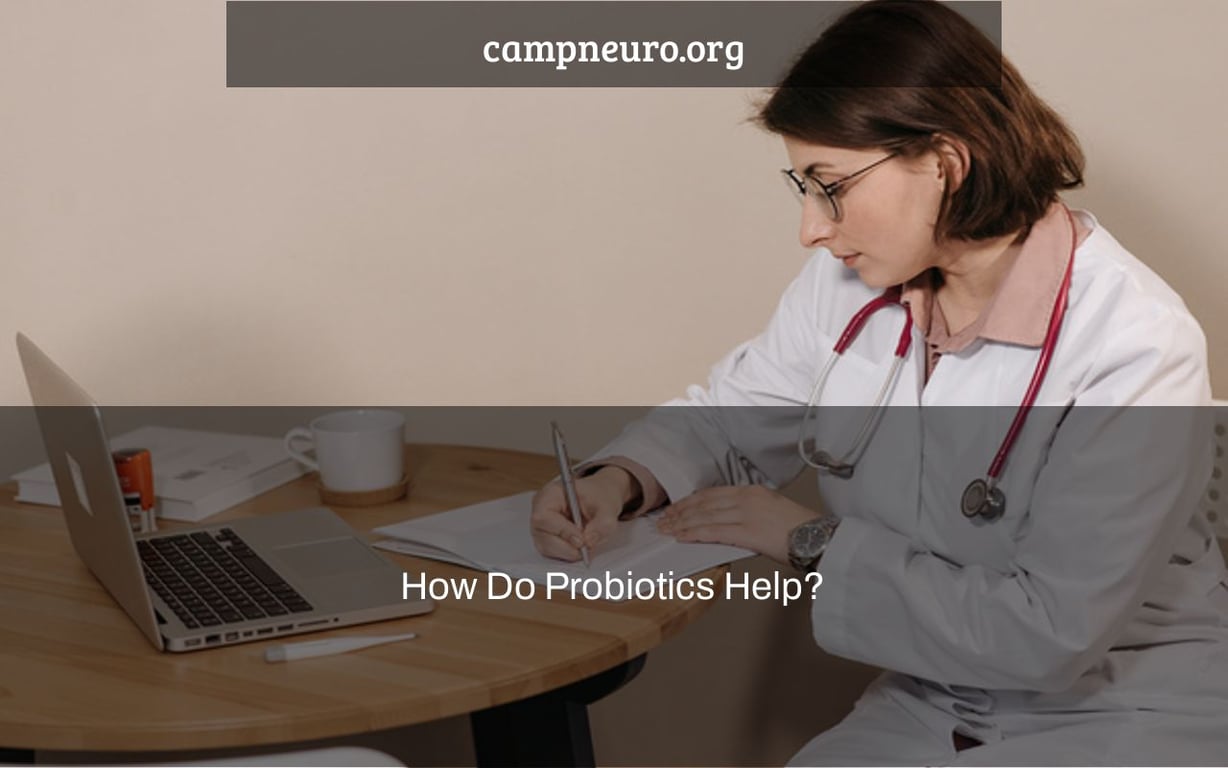 How Do Probiotics Help?