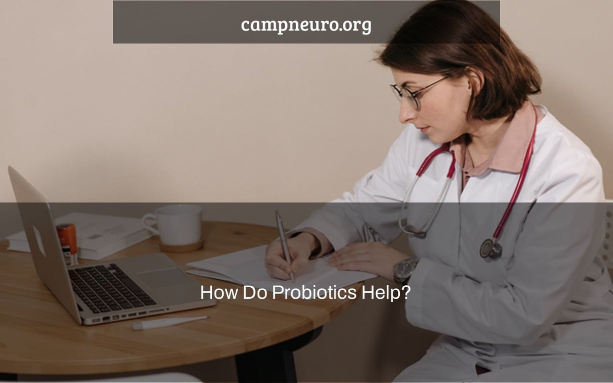 How Do Probiotics Help? Camp Neuro