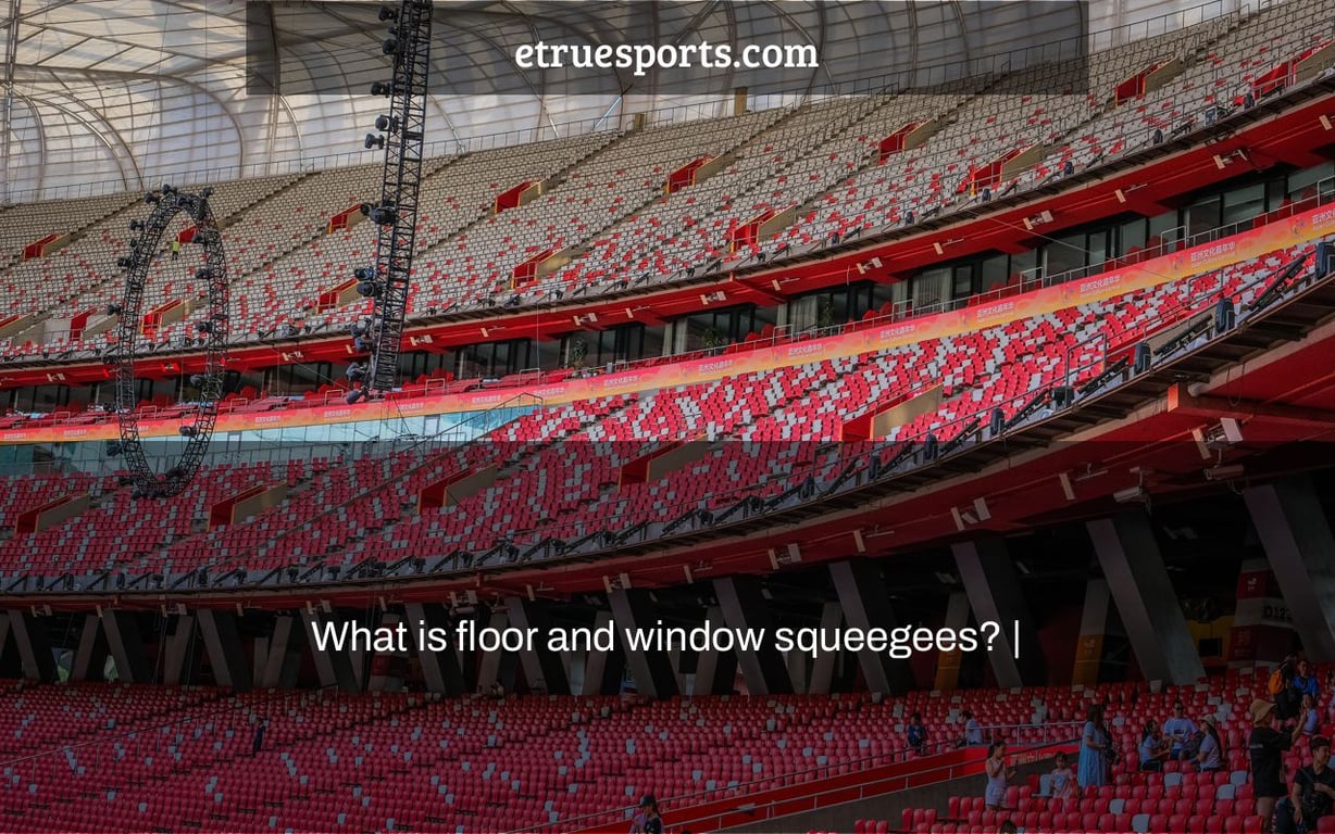 What is floor and window squeegees? |