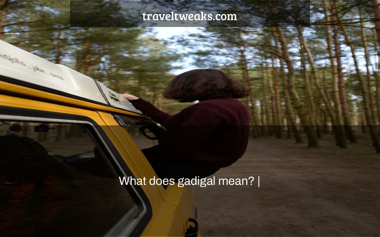 What does gadigal mean? |