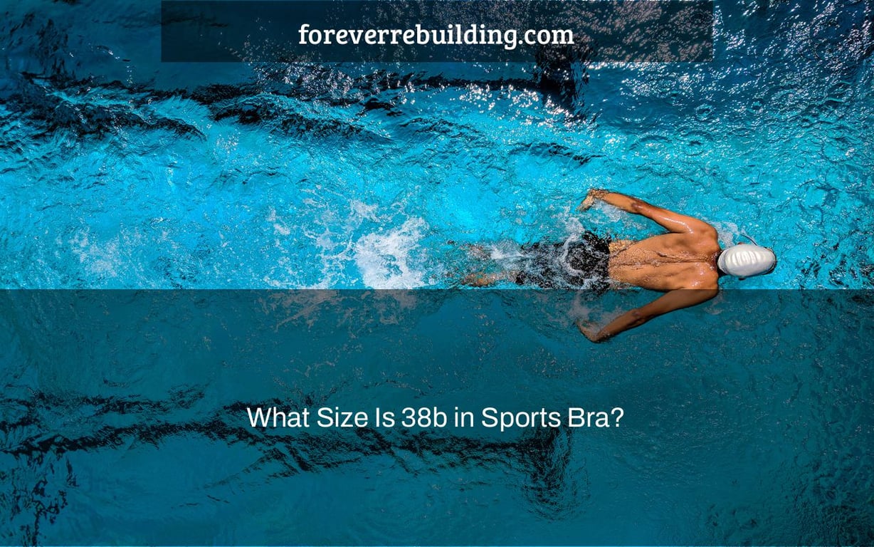 What Size Is 38b in Sports Bra?