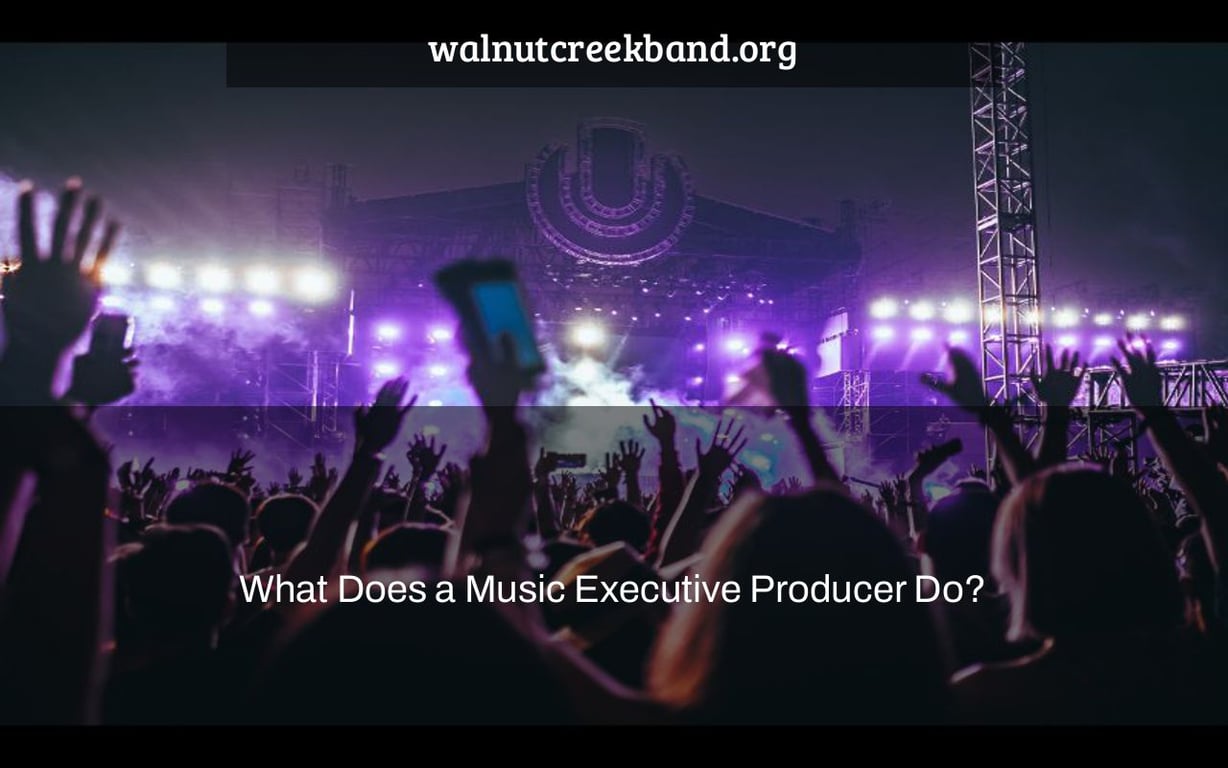 What Does a Music Executive Producer Do?