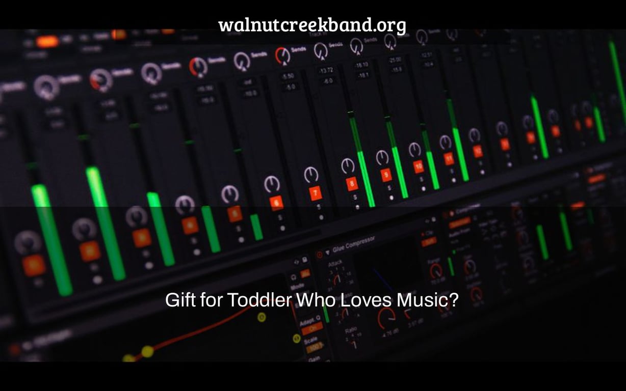 Gift for Toddler Who Loves Music?