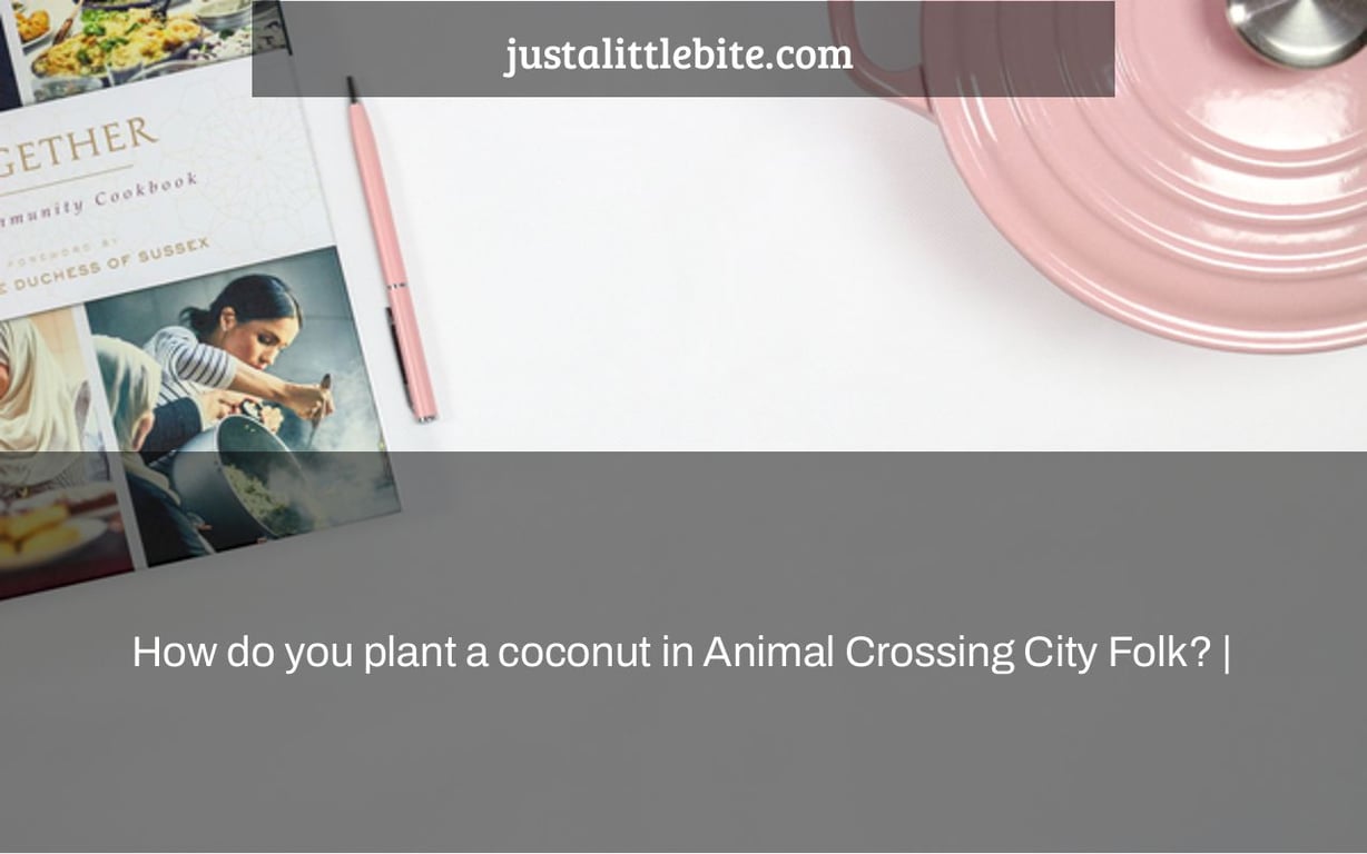 How do you plant a coconut in Animal Crossing City Folk
