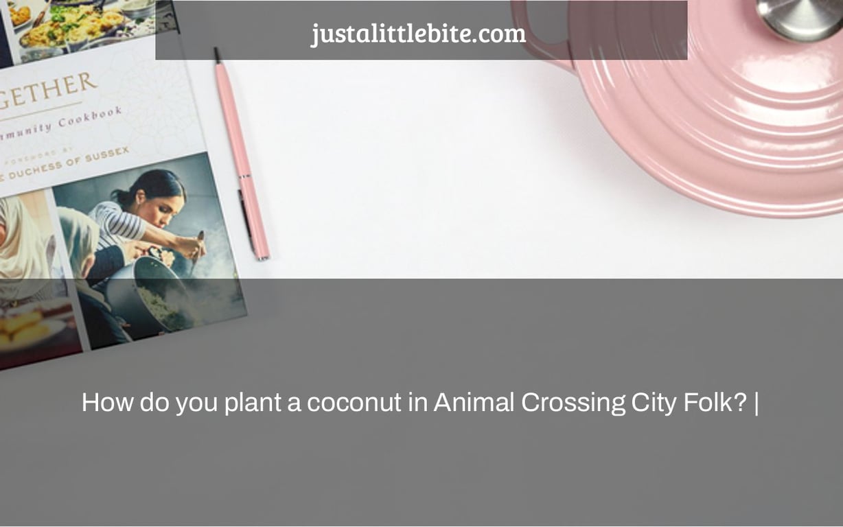 How do you plant a coconut in Animal Crossing City Folk? |