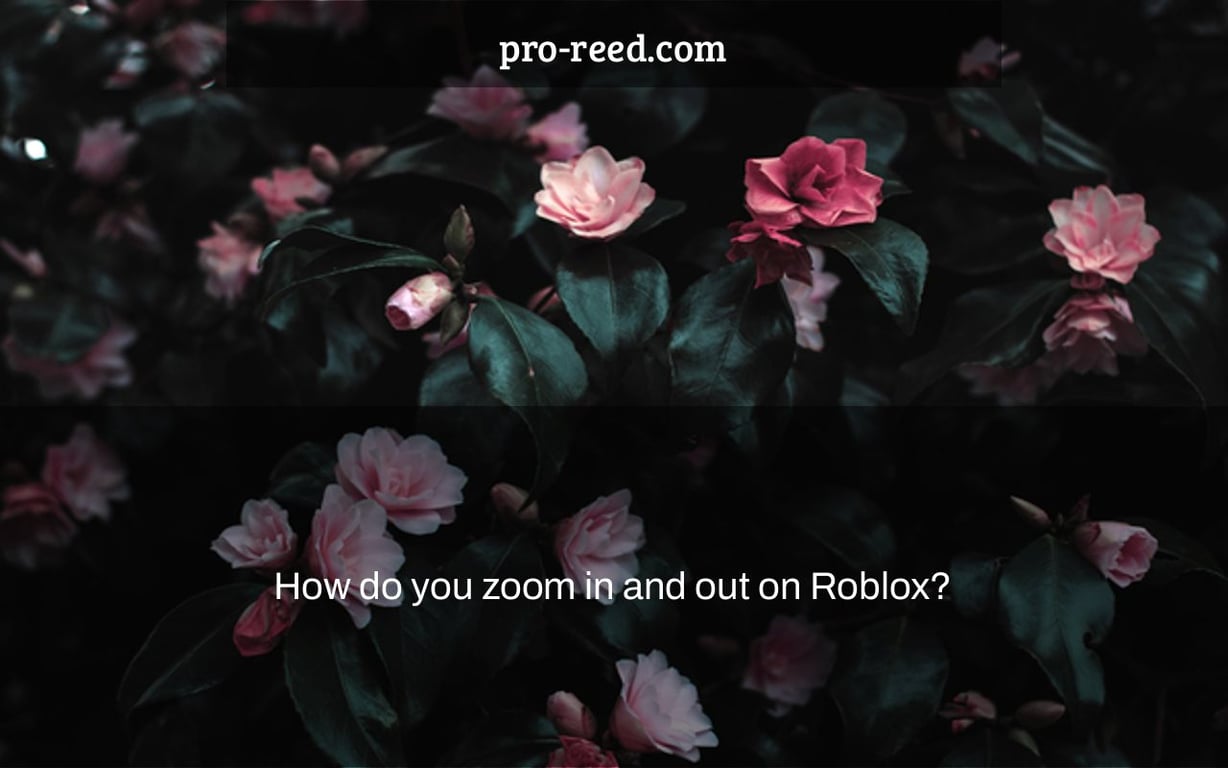 How do you zoom in and out on Roblox?