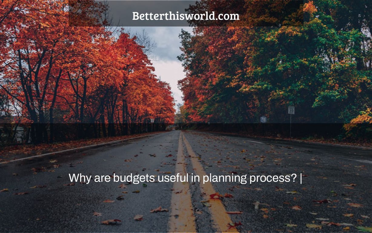 Why are budgets useful in planning process? |