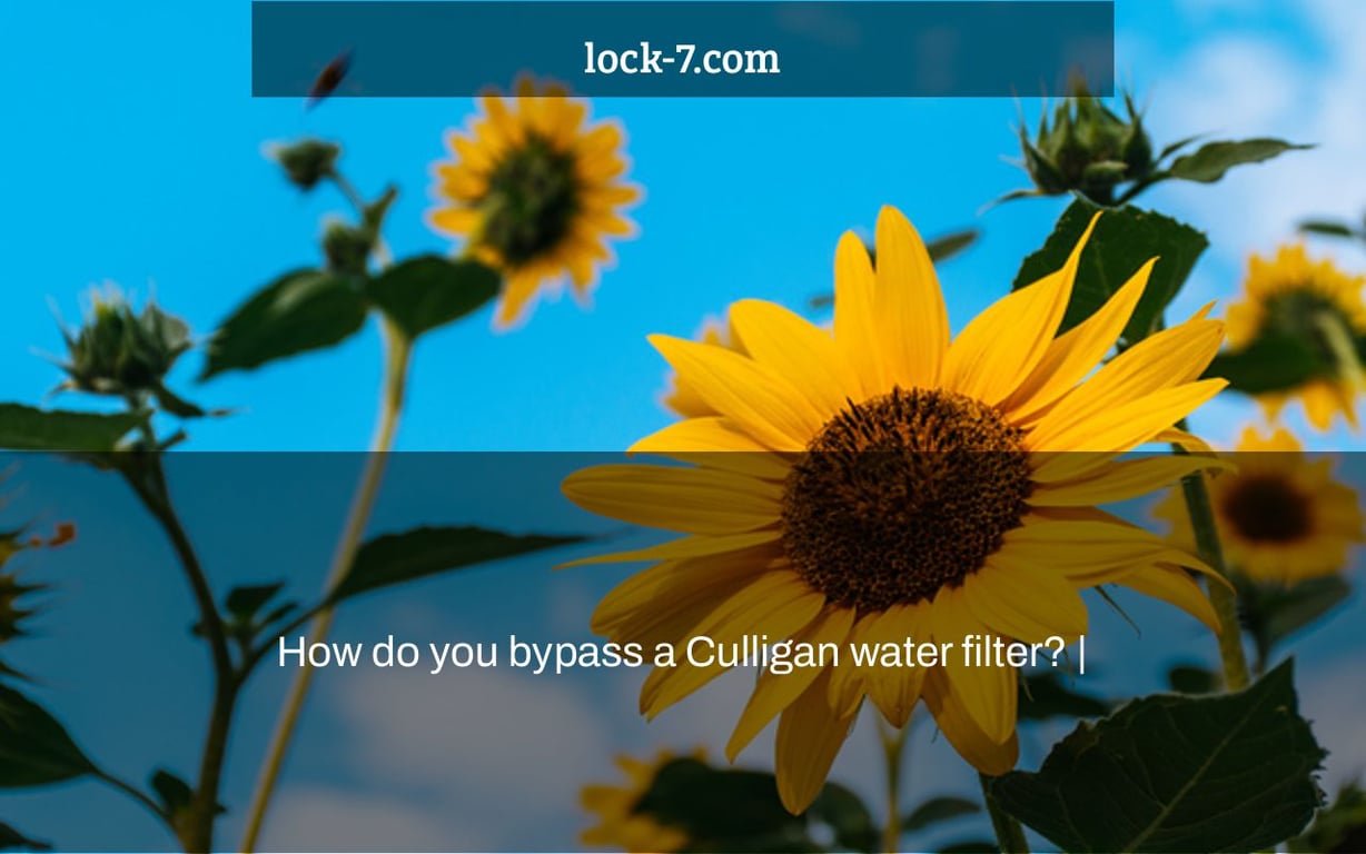 How do you bypass a Culligan water filter? |