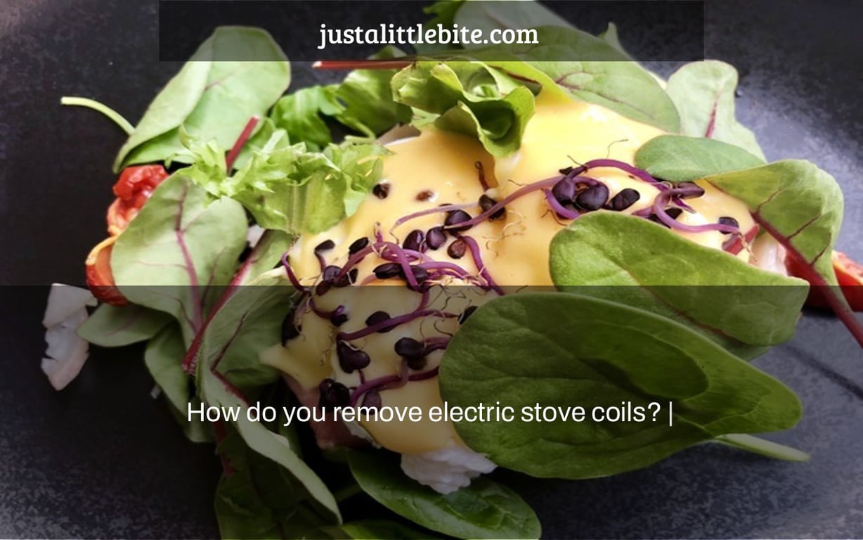 How do you remove electric stove coils? |
