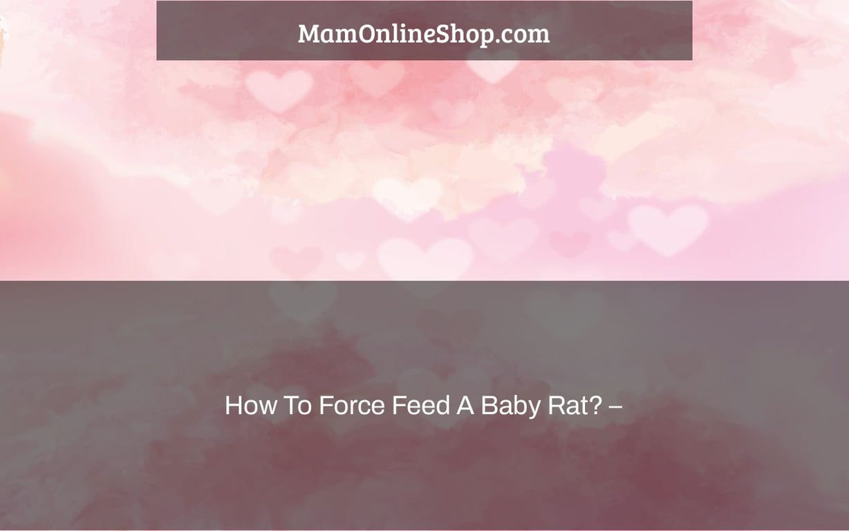 How To Force Feed A Baby Rat? –