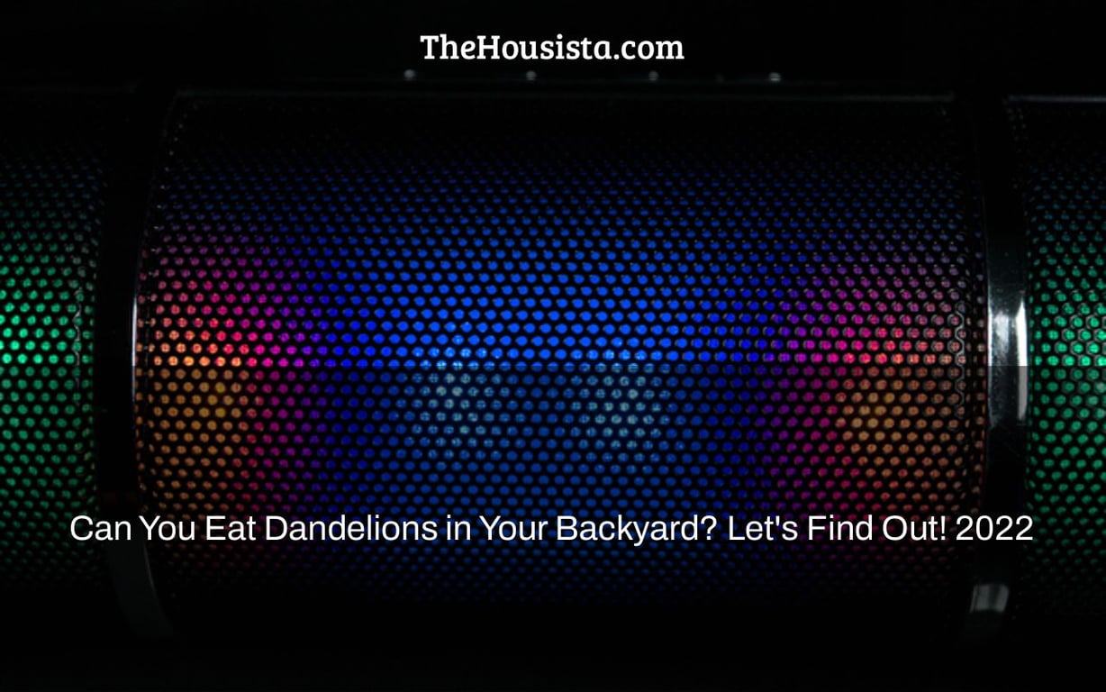 Can You Eat Dandelions in Your Backyard? Let’s Find Out! 2022