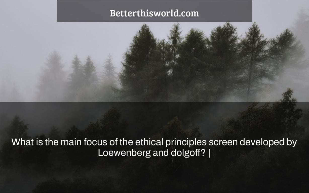 What is the main focus of the ethical principles screen developed by Loewenberg and dolgoff? |
