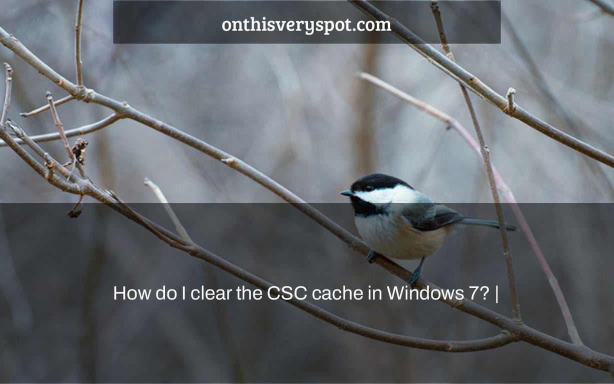 How do I clear the CSC cache in Windows 7? |