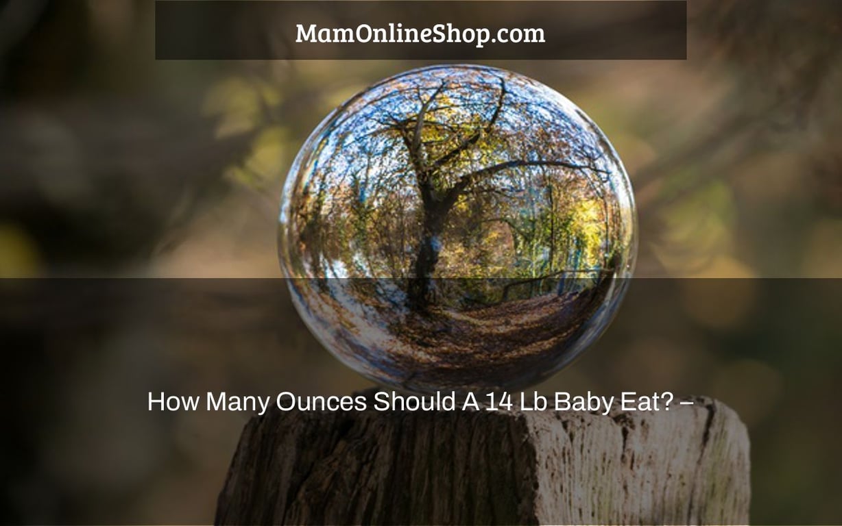 How Many Ounces Should A 14 Lb Baby Eat? –