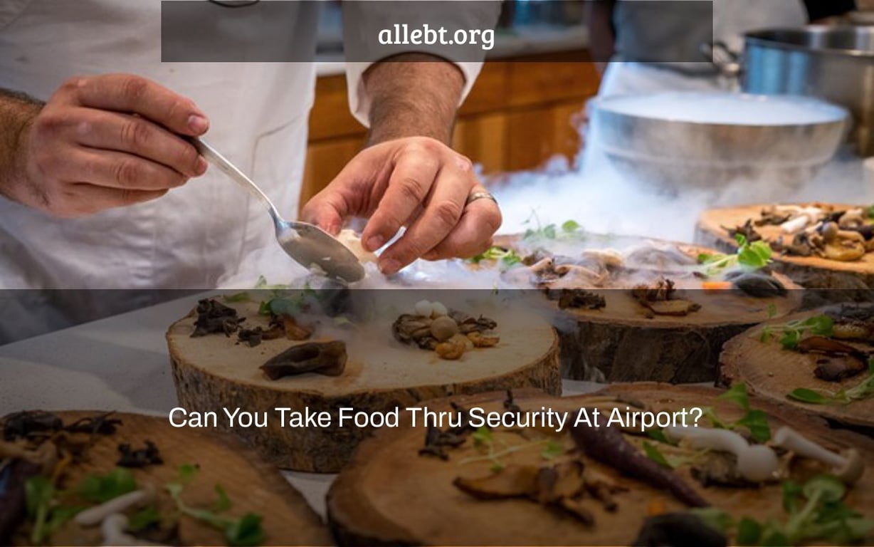 Can You Take Food Thru Security At Airport?