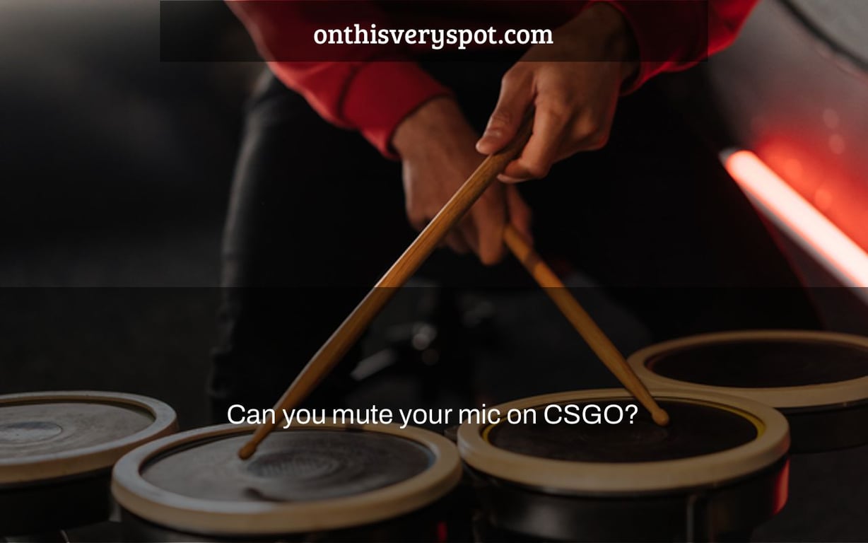 Can you mute your mic on CSGO?