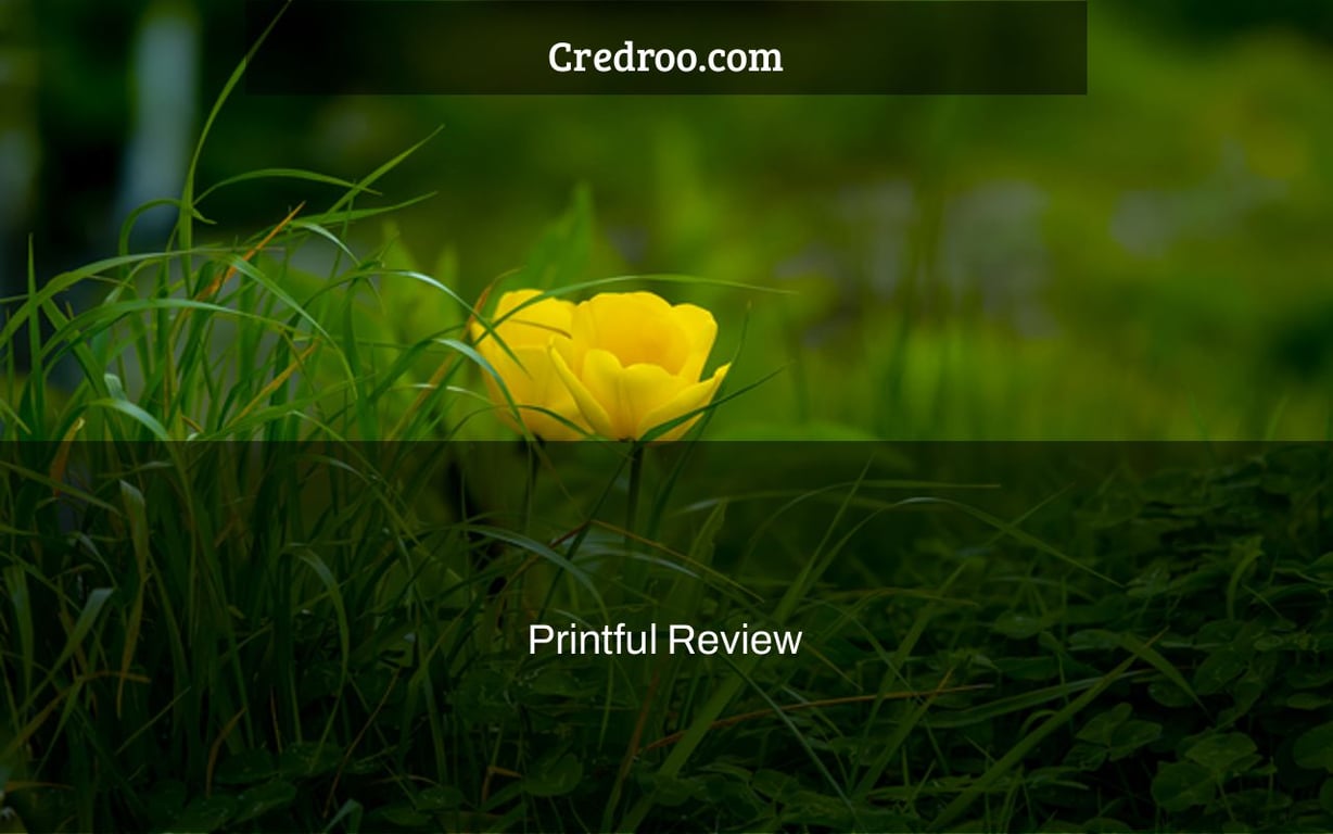 Printful Review