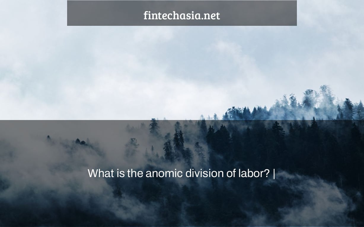 What is the anomic division of labor? |