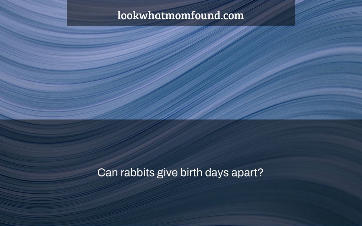 Can rabbits give birth days apart?