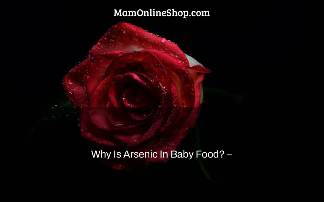 Why Is Arsenic In Baby Food? –