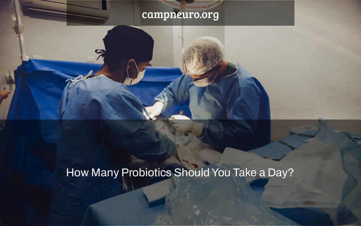 How Many Probiotics Should You Take a Day?