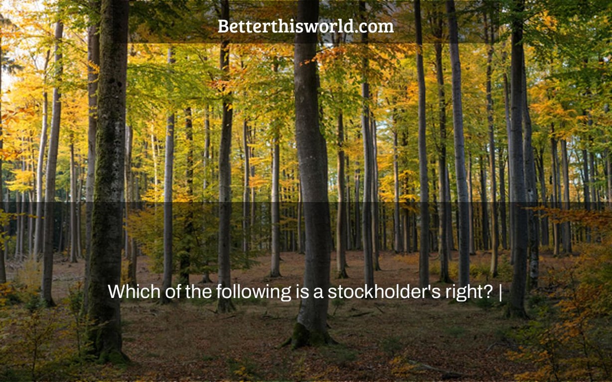 Which of the following is a stockholder's right? |