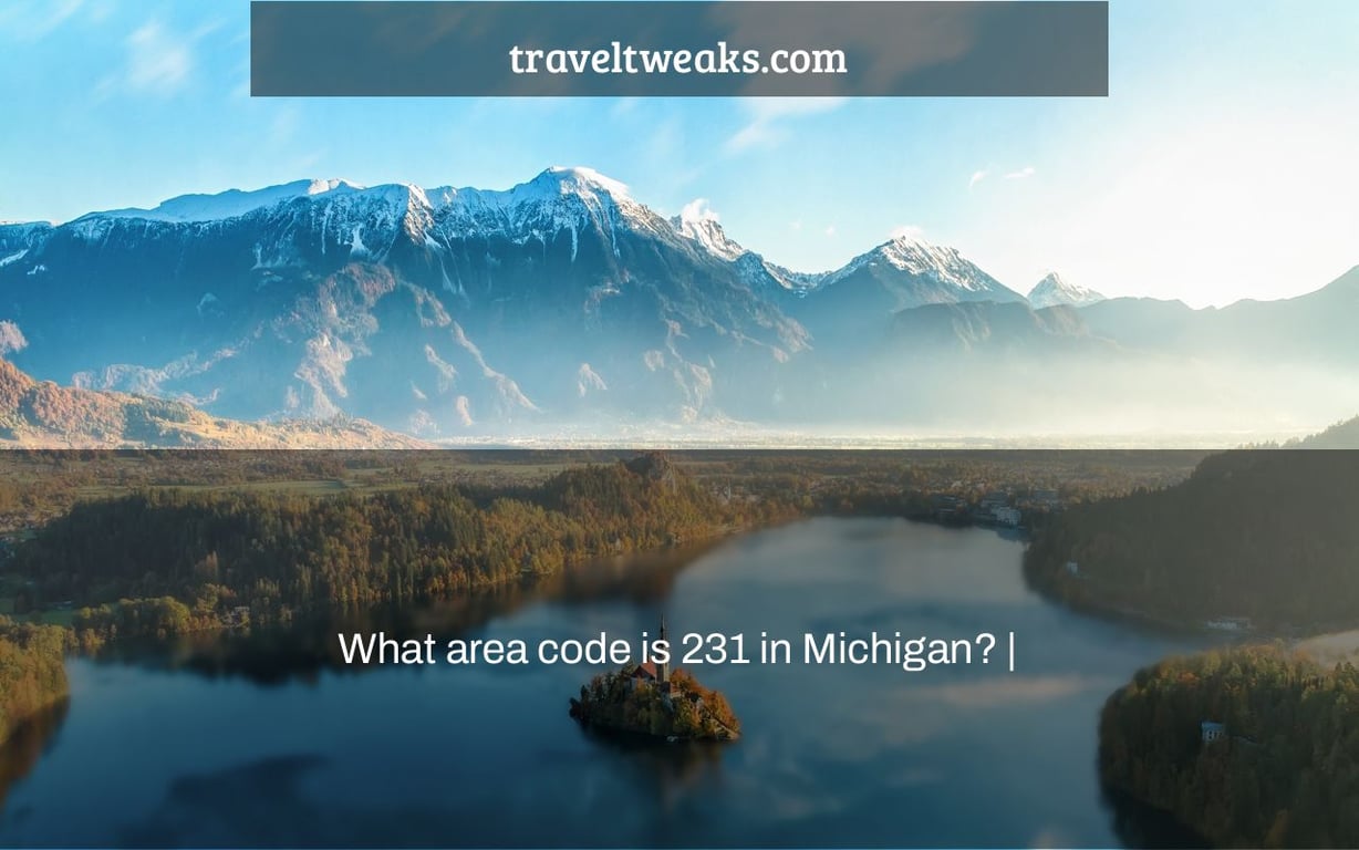 What area code is 231 in Michigan? |